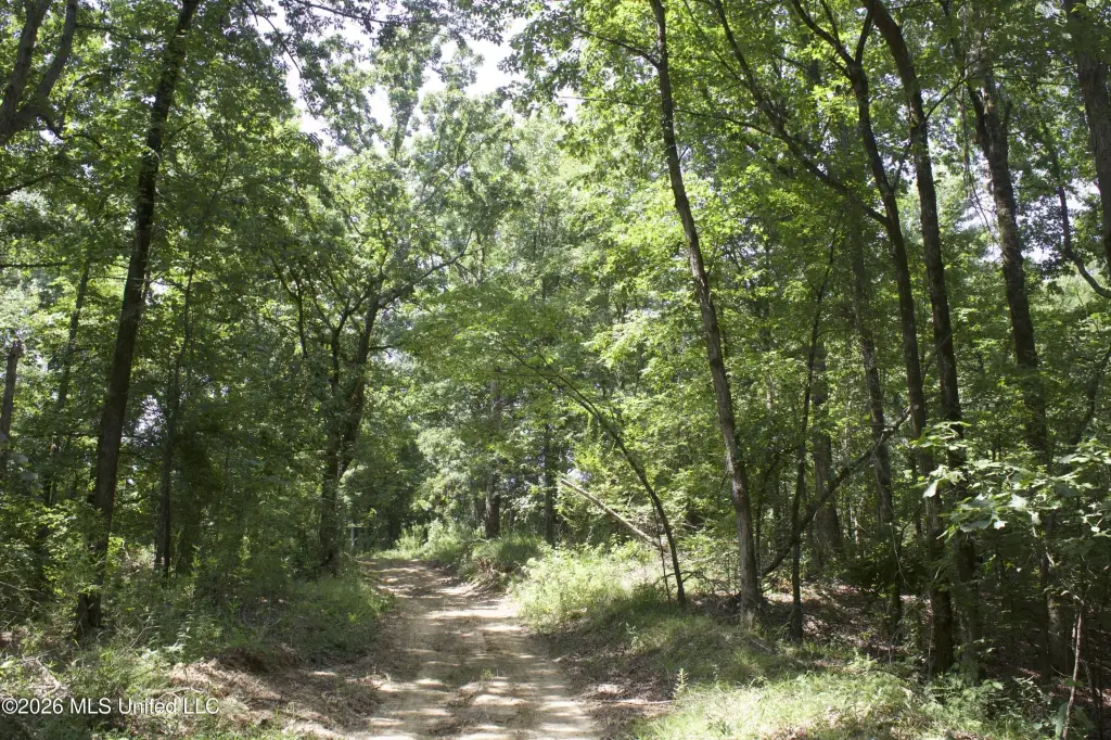 Picture 39