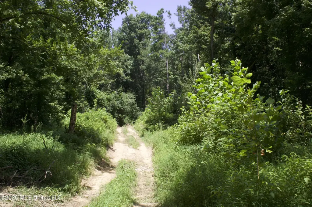Picture 42