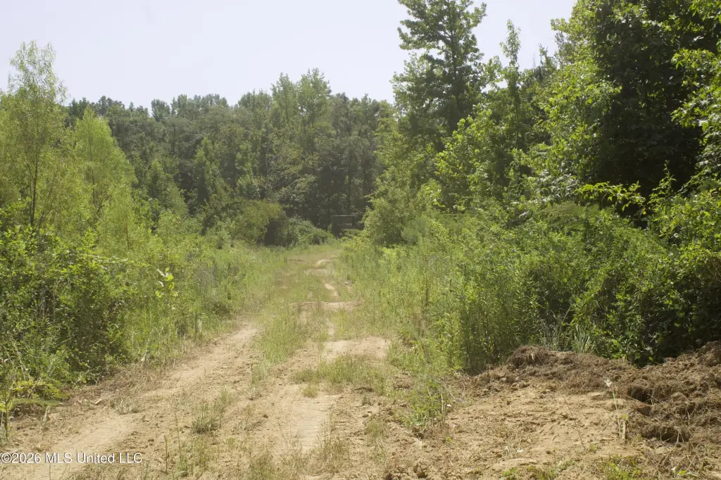 Picture 40