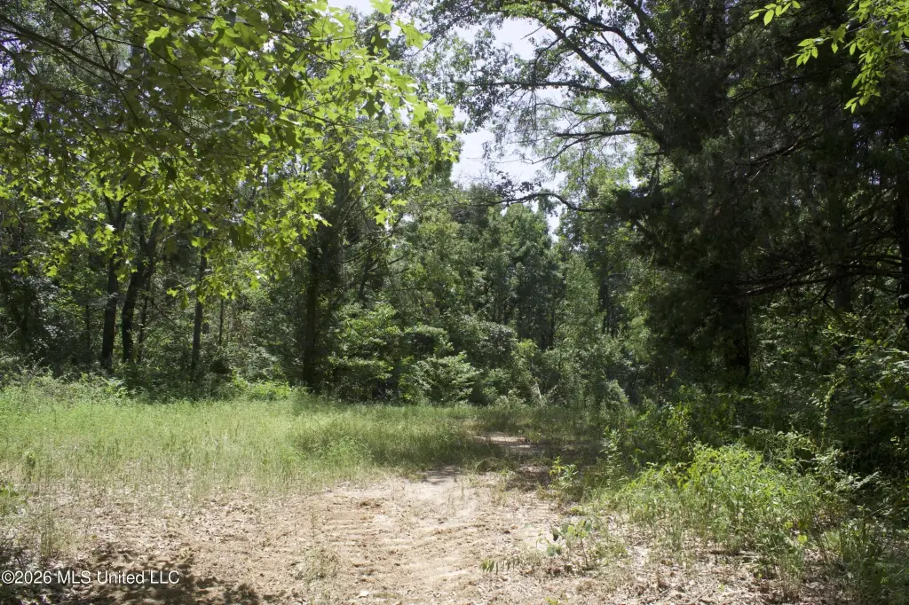 Picture 32