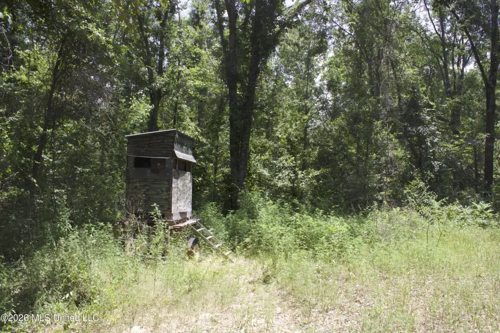 Picture 31