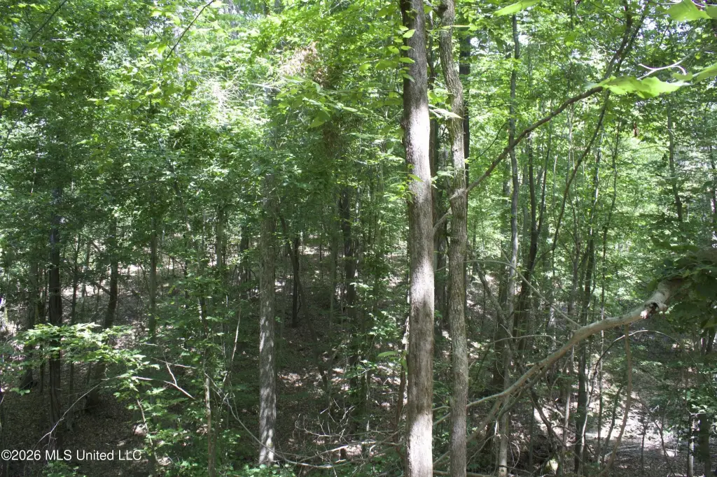 Picture 47