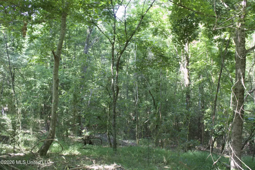 Picture 62