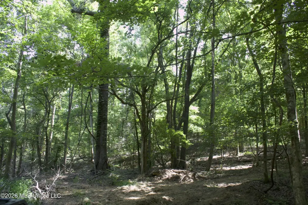 Picture 45