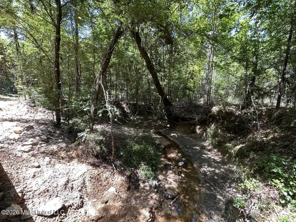 Picture 25