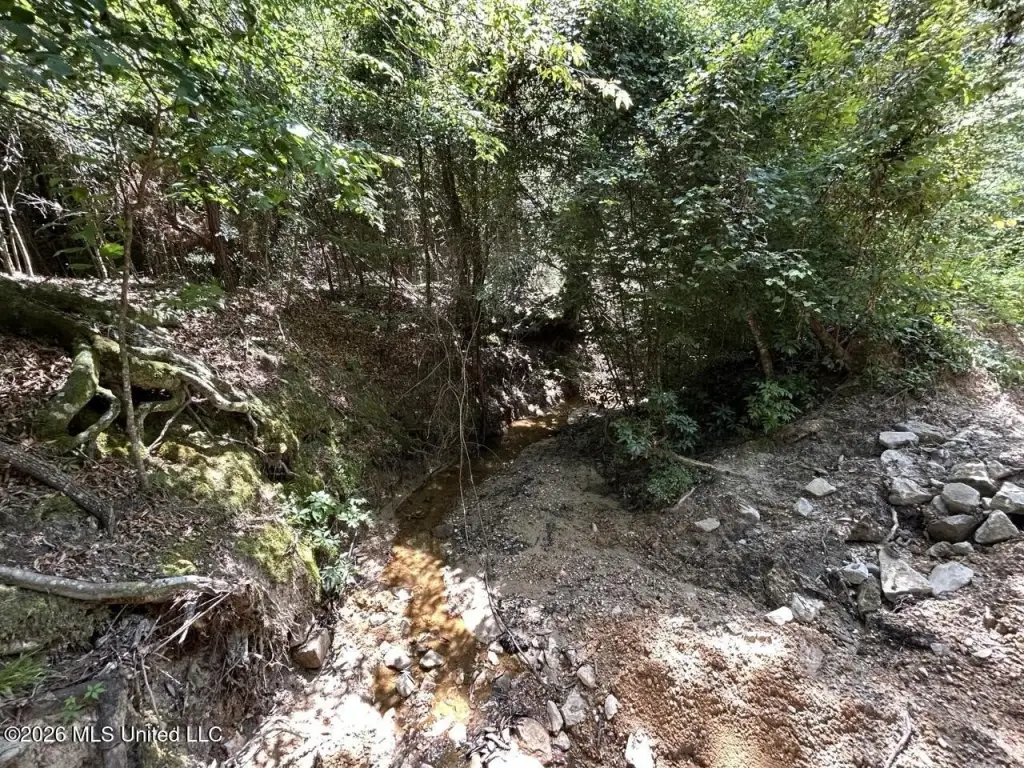 Picture 24