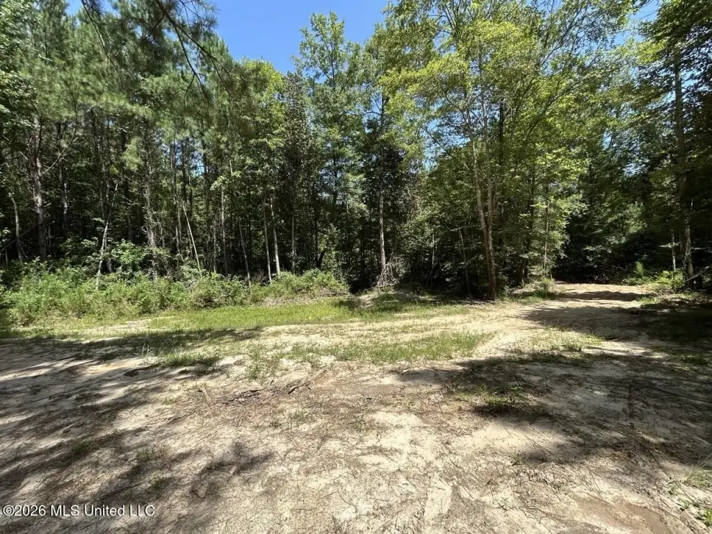 Picture 23