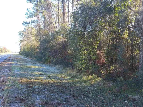 Palatka Agricultural Land Investment Opportunity