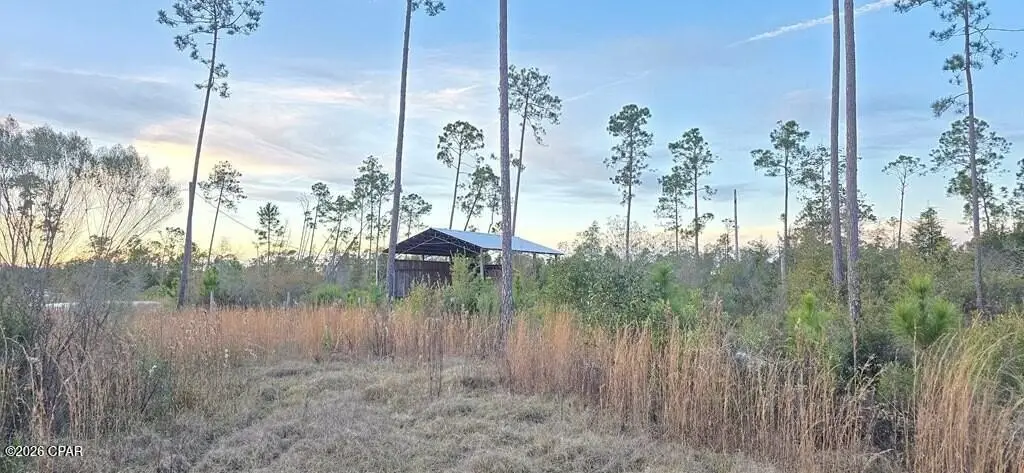 Picture 5