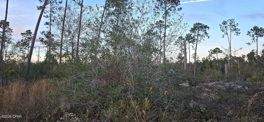 Picture 4