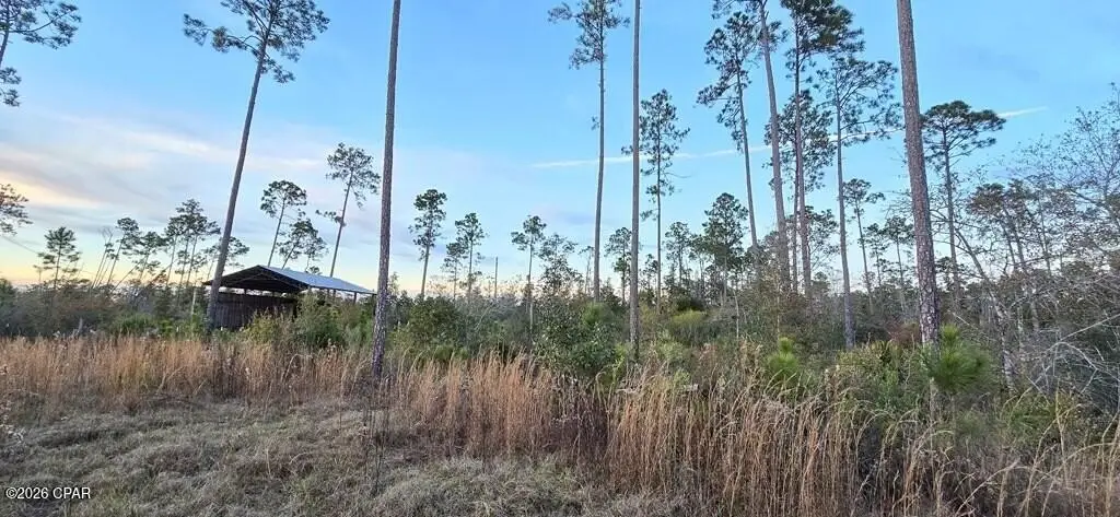 Picture 9