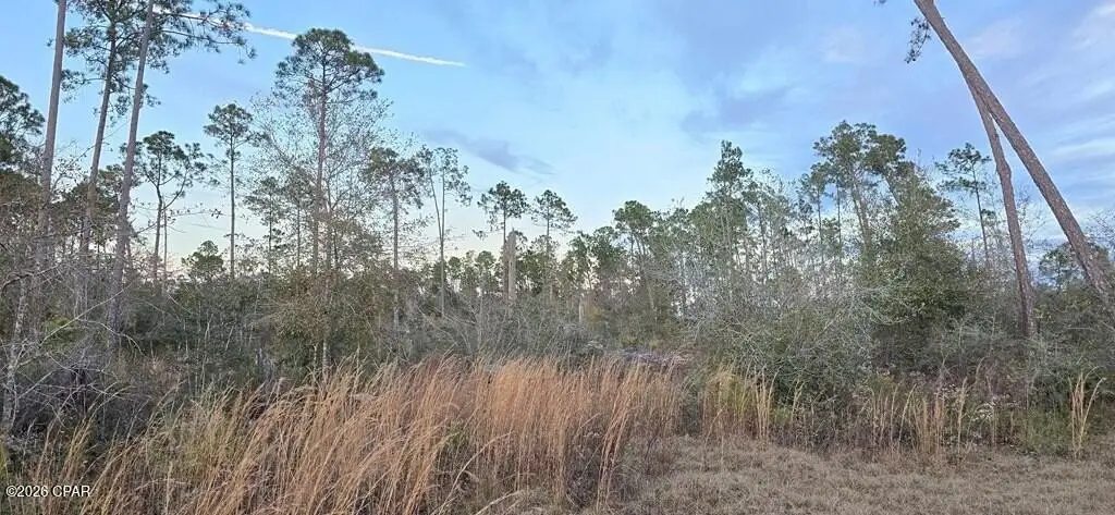 Picture 6
