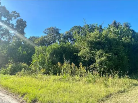 Wooded Acreage in Waycross, GA