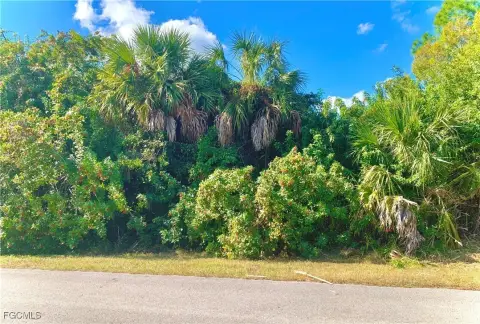Naples, FL 1.14-Acre Lot