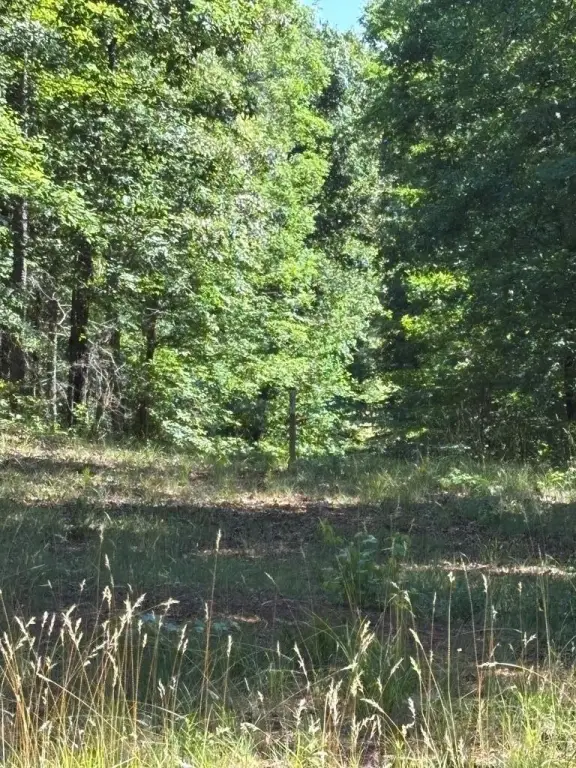 Picture 47