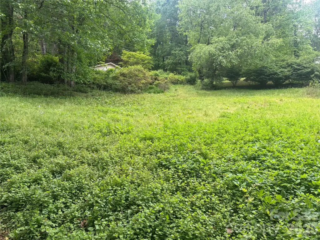 Picture 4
