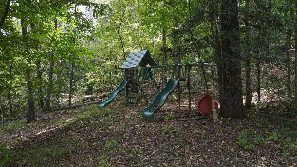 Picture 11