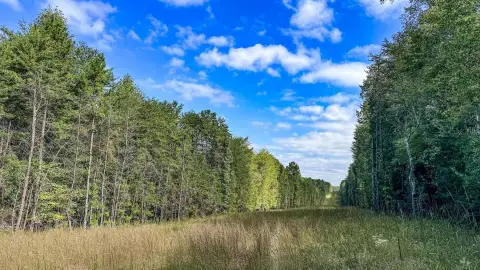 Lawsons Fork Waterfront Land