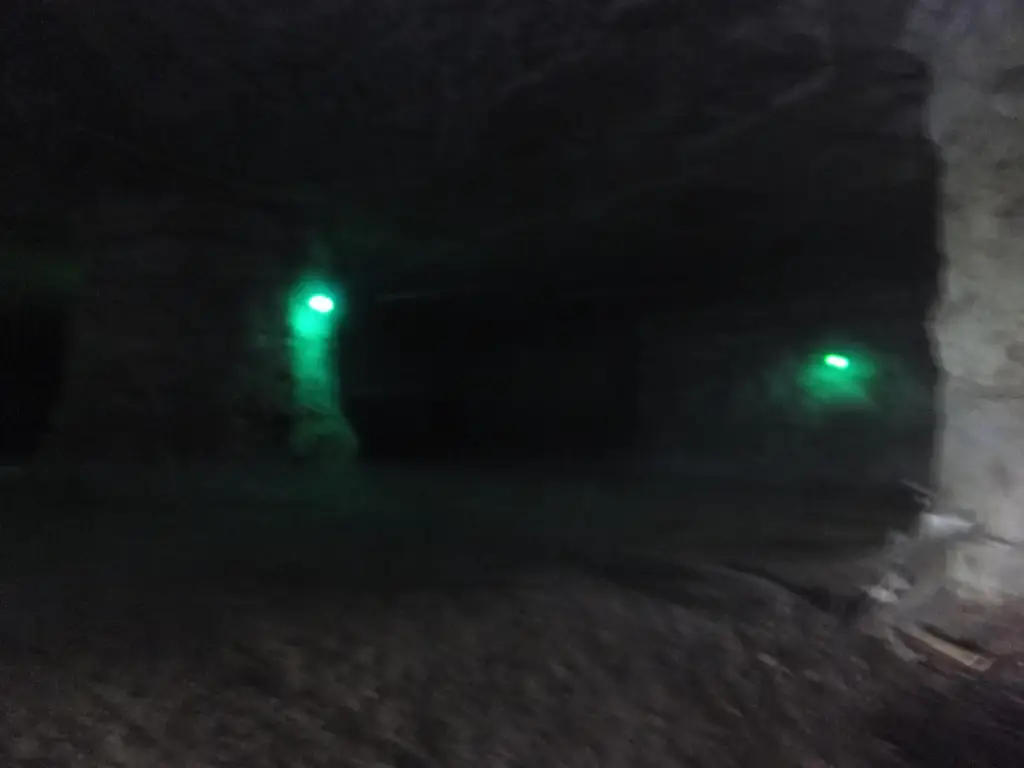 Picture 8