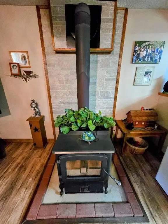 Picture 9