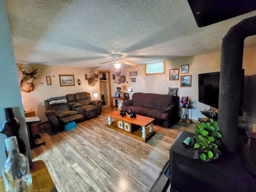 Picture 7