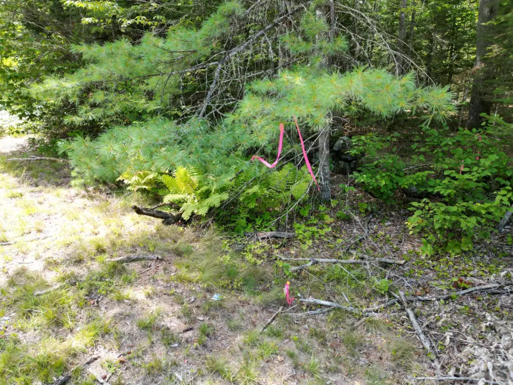 Picture 4