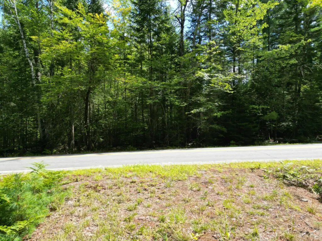 Picture 10