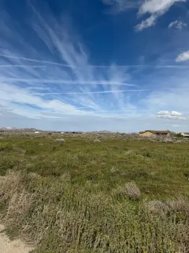 Rosamond Land: Build Your Dream