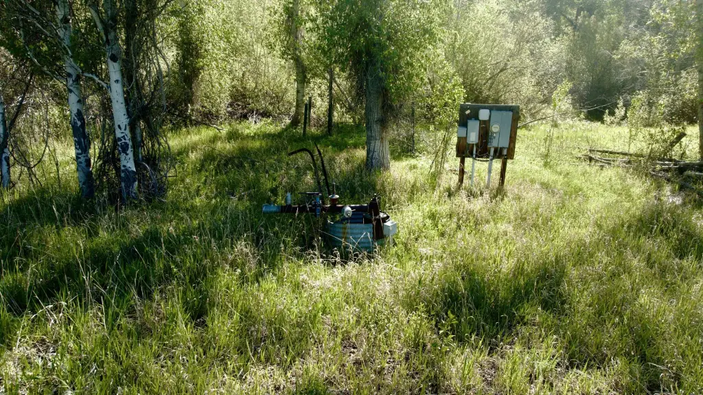 Picture 14