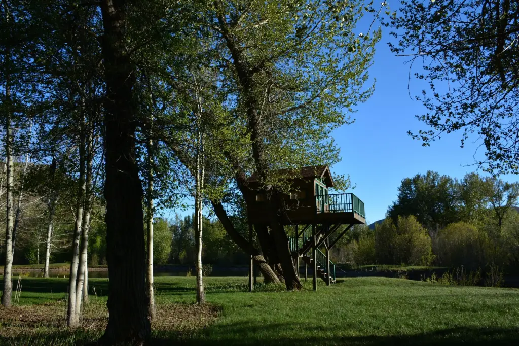 Picture 7