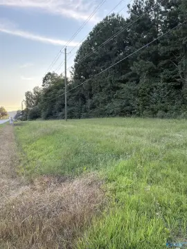 Altoona, AL - Land Lot