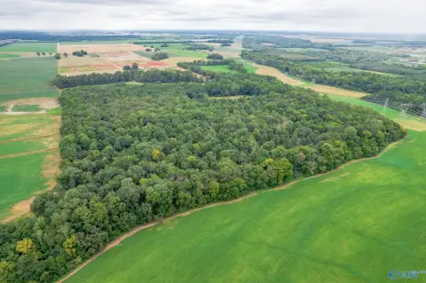 25.5 Acres in Madison, AL