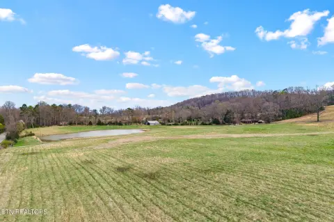 Decatur, TN - 1 Acre Lot
