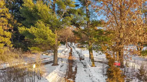 Wooded Lot Near Wisconsin Dells