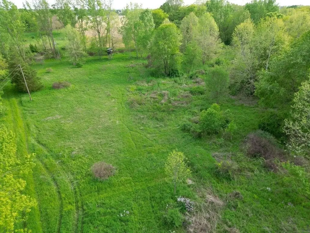 Picture 6