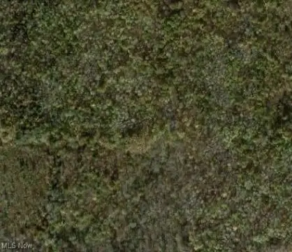 Pierpont, OH Treed Land