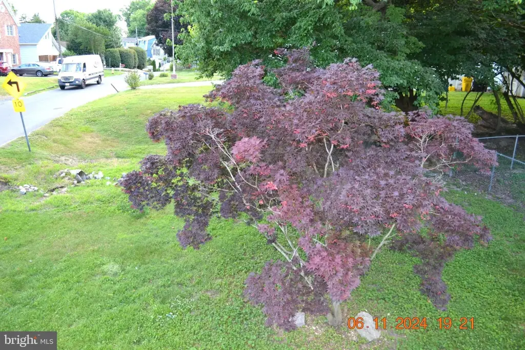 Picture 35