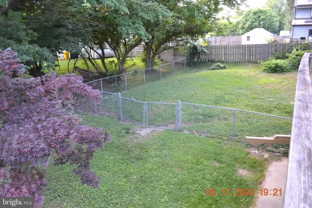 Picture 36