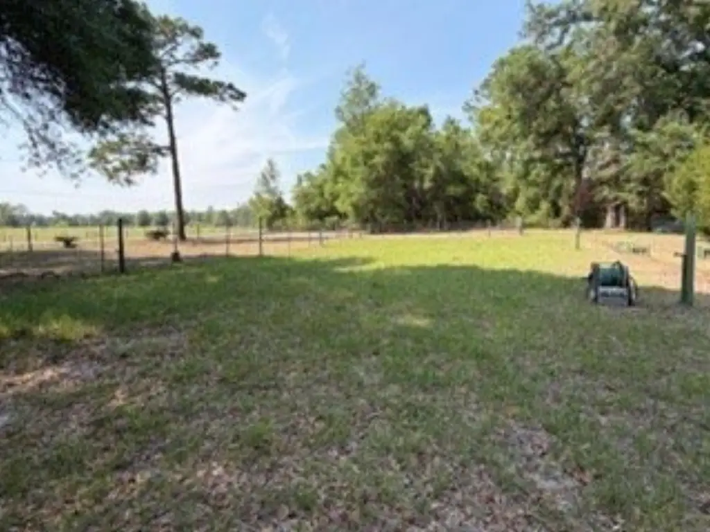 Picture 14
