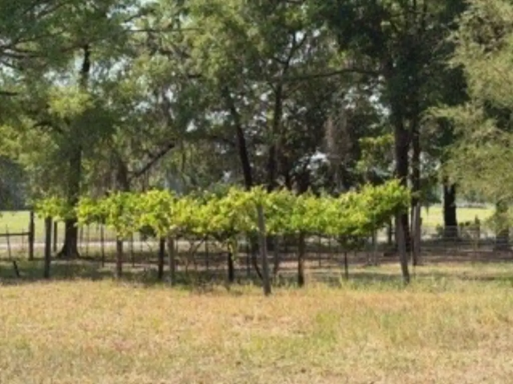 Picture 22