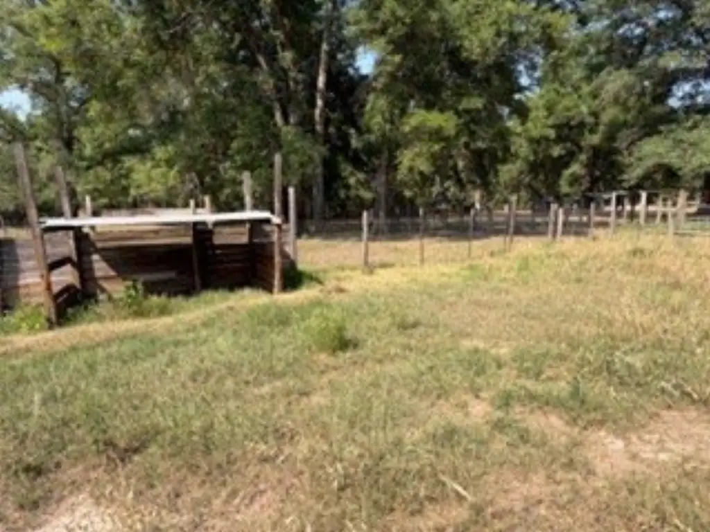 Picture 30