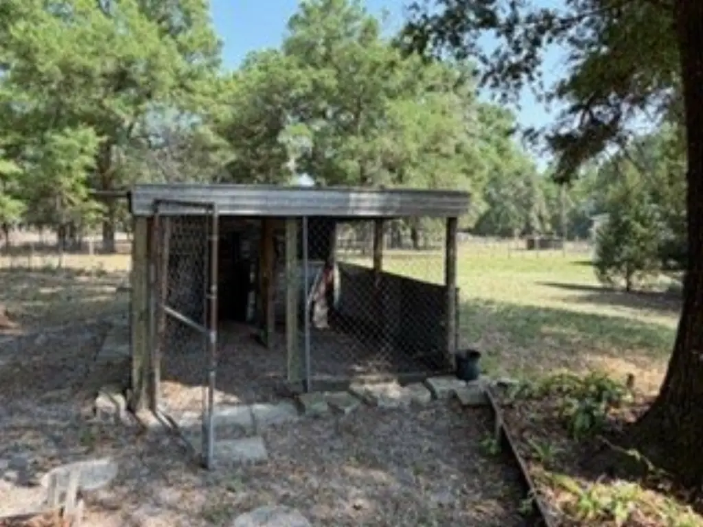 Picture 28