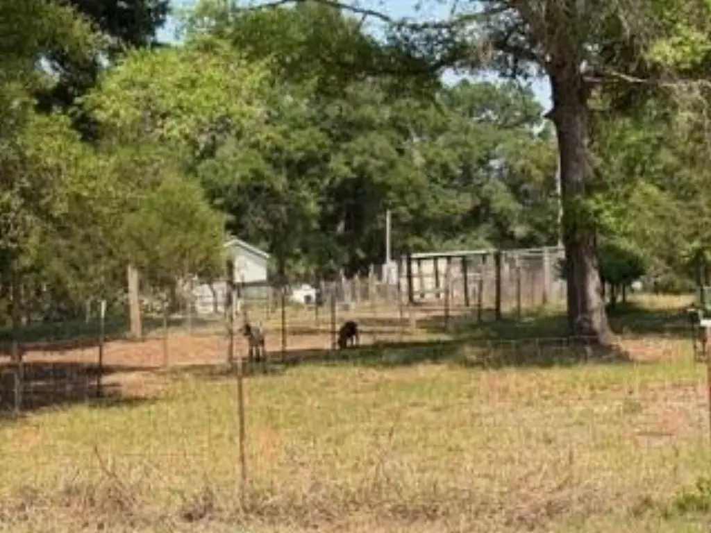 Picture 45