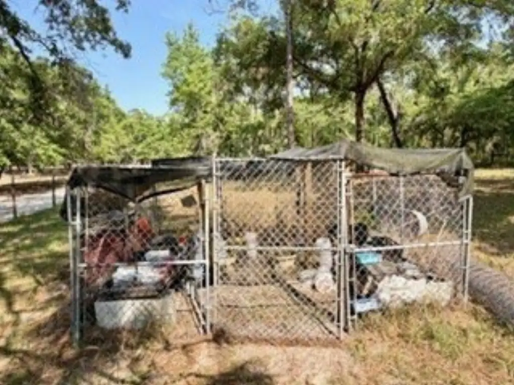 Picture 36