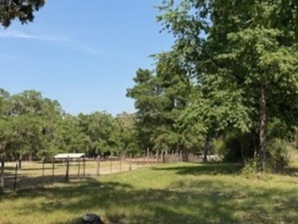 Picture 20