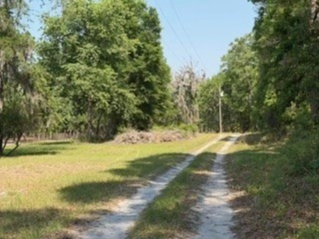 Picture 18