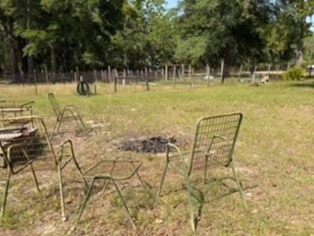 Picture 25