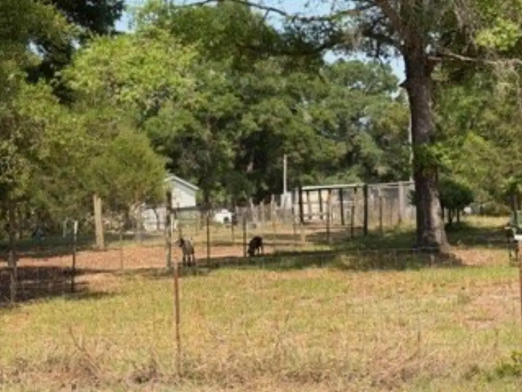 Picture 21