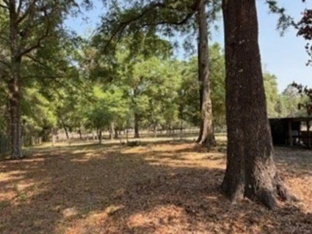 Picture 17