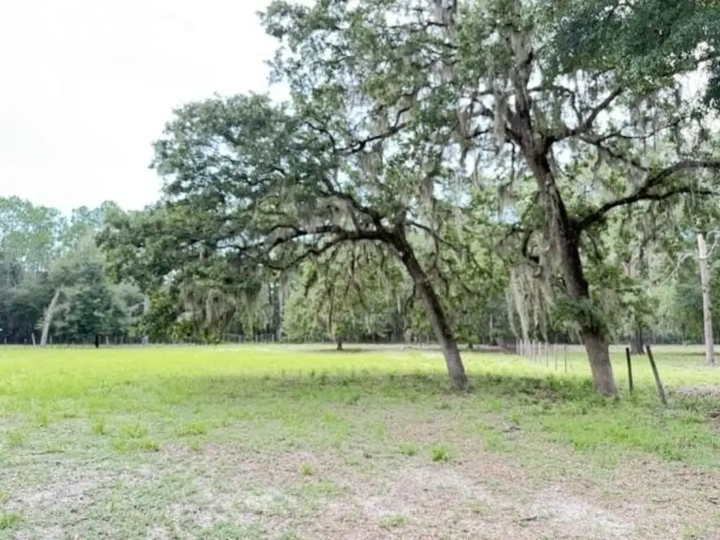 Picture 42